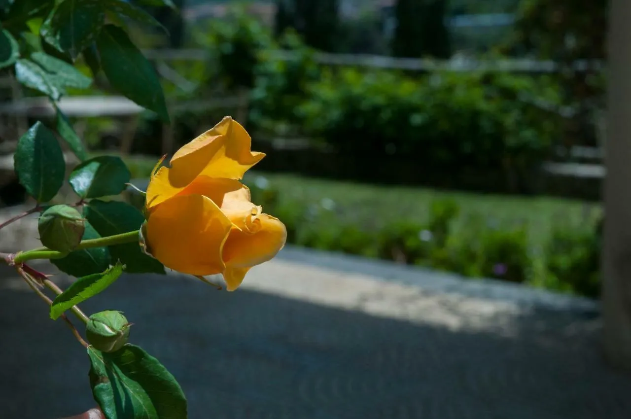 Antico Borgo Etneo Country Hotel Calatabiano 0*,  Italy